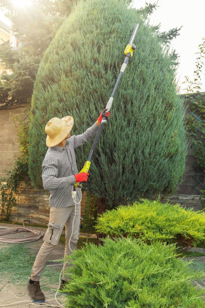  Lebanon, OH Tree Removal and Landscaping Services Pros